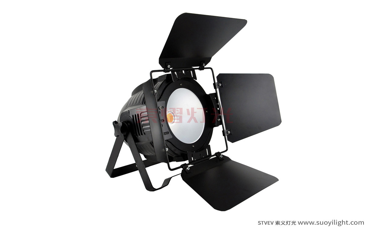 Cali200W COB LED Par Light