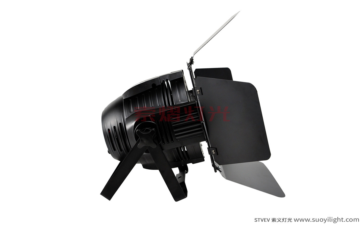 Cali200W COB LED Par Light