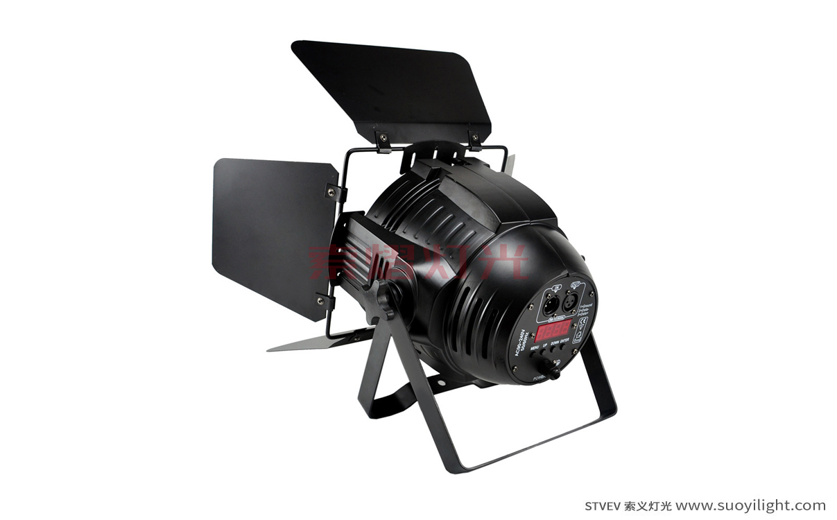 Cali200W COB LED Par Light