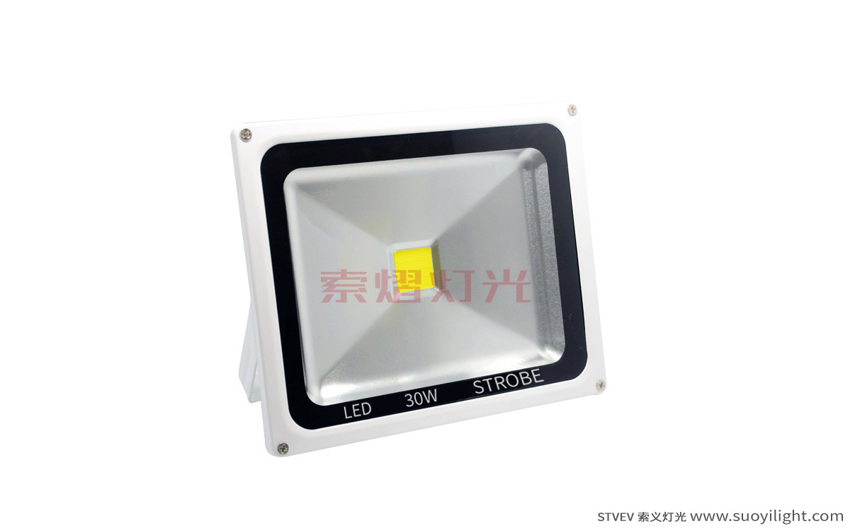 Cali30W LED Strobe Light