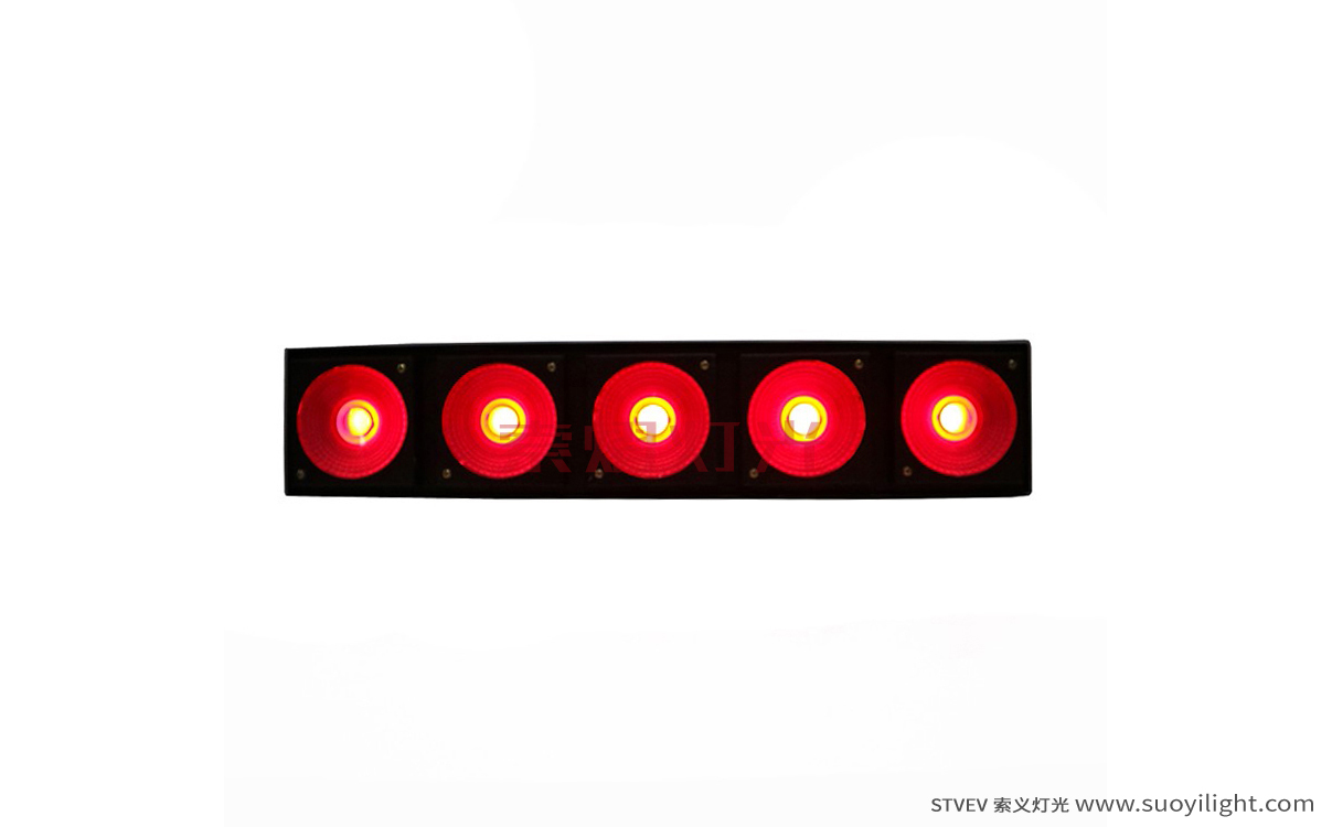 Cali LED 5 Head Matrix Light