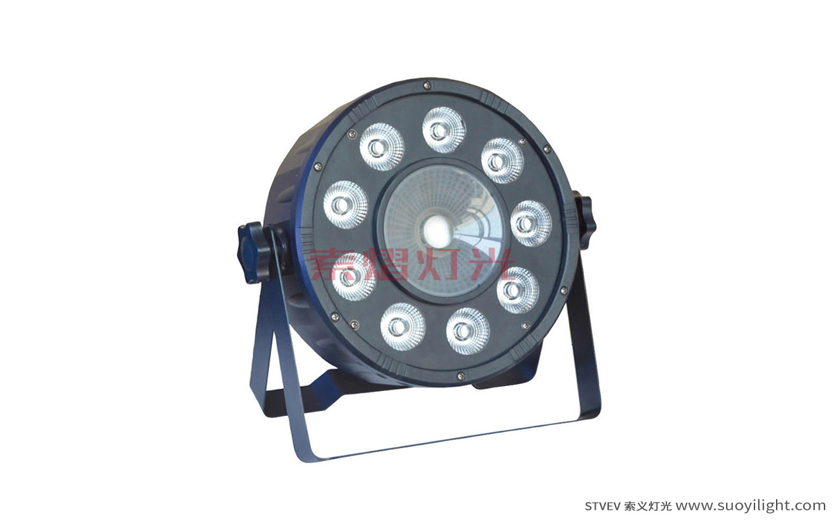 Cali9+1 LED Plastic Par Light