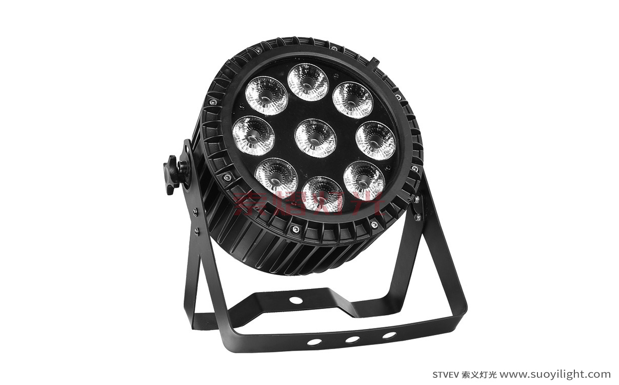 Cali9*12W 4 in 1 Waterproof LED Par Light