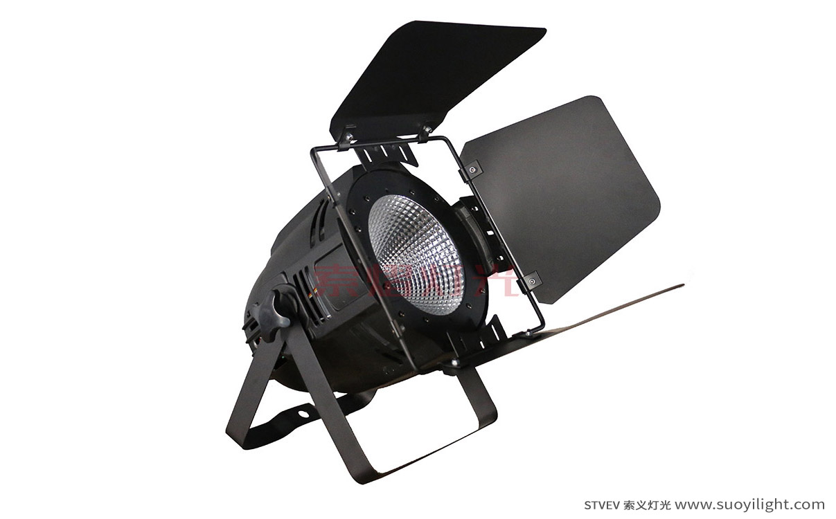 Cali100W LED COB Par Light