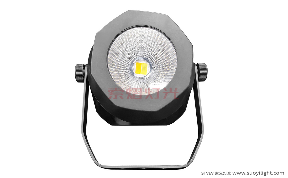 Cali200W Waterproof COB Par Light