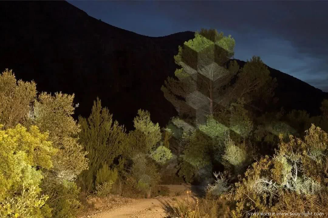 Cali奥斯坦基诺公园亮化