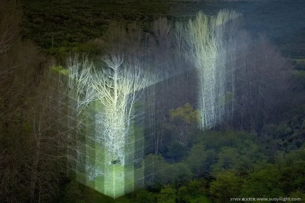 Cali奥斯坦基诺公园亮化